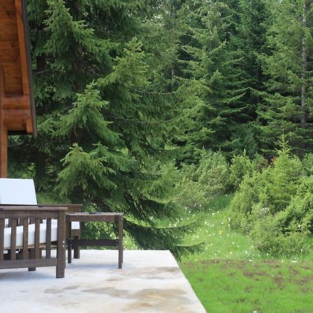 Willa Vikendice Mali Raj Žabljak Zewnętrze zdjęcie